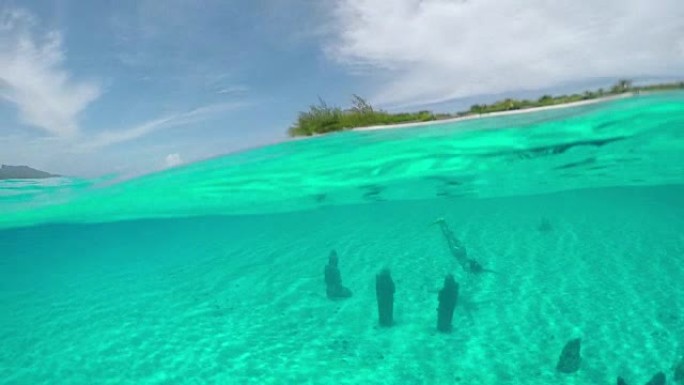 水下: 年轻女子游泳通过海底的海洋雕像保护区