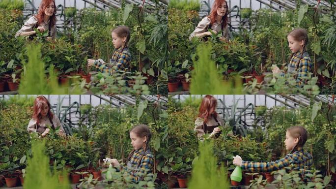开朗的小女孩正在向花盆上喷水，而她的母亲正在温室里工作并与她交谈。家族企业、农业和童年概念。