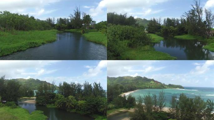 空中: 沿着安静的河流向美丽的三角洲和海洋湾飞行