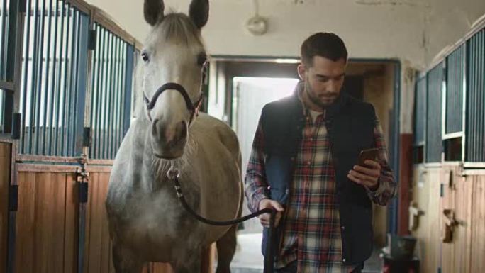 男子在使用手机时在马厩里走着一匹白马。