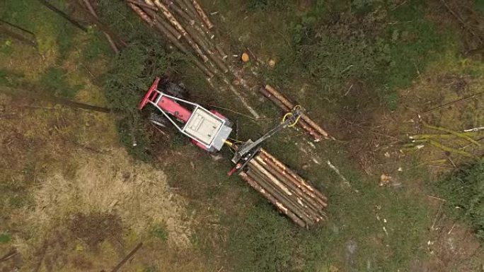 空中伐木车提升切割的砍伐原木并将其装载到堆叠的拖拉机上