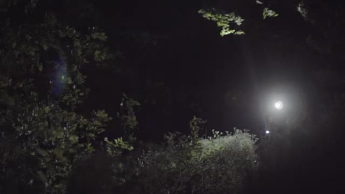 Lonely walk in the forest at night