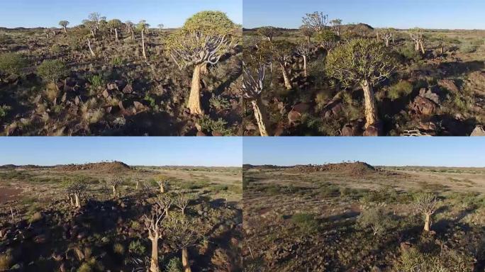 纳米比亚箭袋树/科克博姆森林的4k鸟瞰图