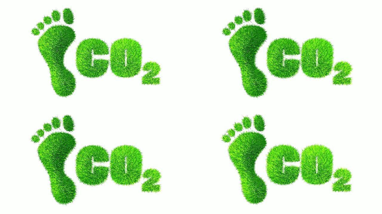 脚和用草制造的二氧化碳。