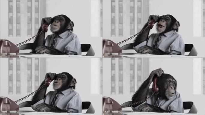 猴子商务办公室