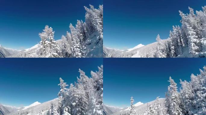 空中: 新鲜的白雪覆盖着沉睡的树木和陡峭的山坡