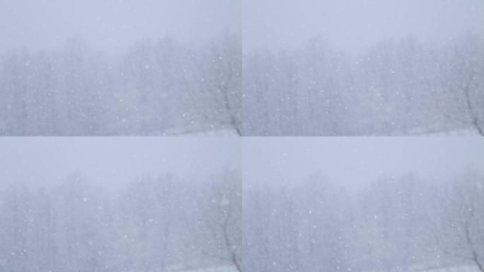 冬天树上飘落的宁静雪，超级慢动作