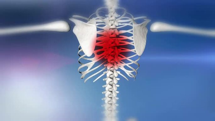 高清: 人体骨骼表示背痛