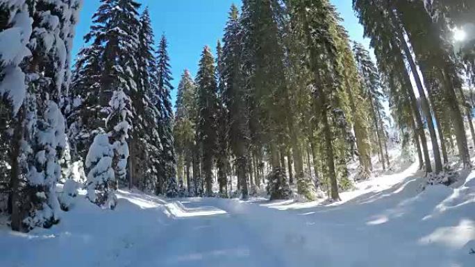 晴天在白雪皑皑的单车道冬季森林路上行驶