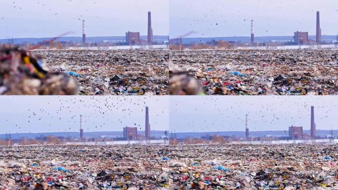 垃圾填埋场堆满了垃圾，背景上有成群的清除鸟。