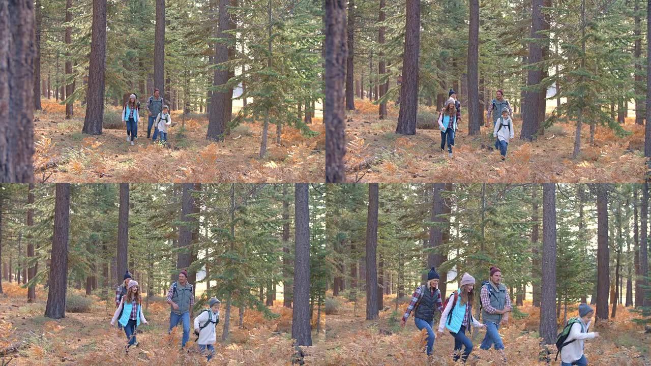 家庭在森林中走过的慢动作平移镜头