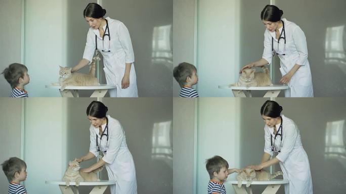 兽医在医疗办公室与小男孩主人一起检查猫