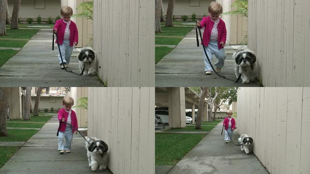 （HD1080i）小孩遛狗走向相机，缩小