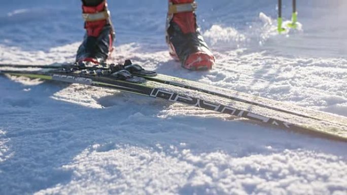 越野滑雪者将滑雪板放在雪上