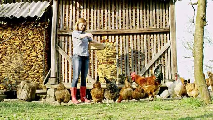 WS妇女在一个小农场喂母鸡