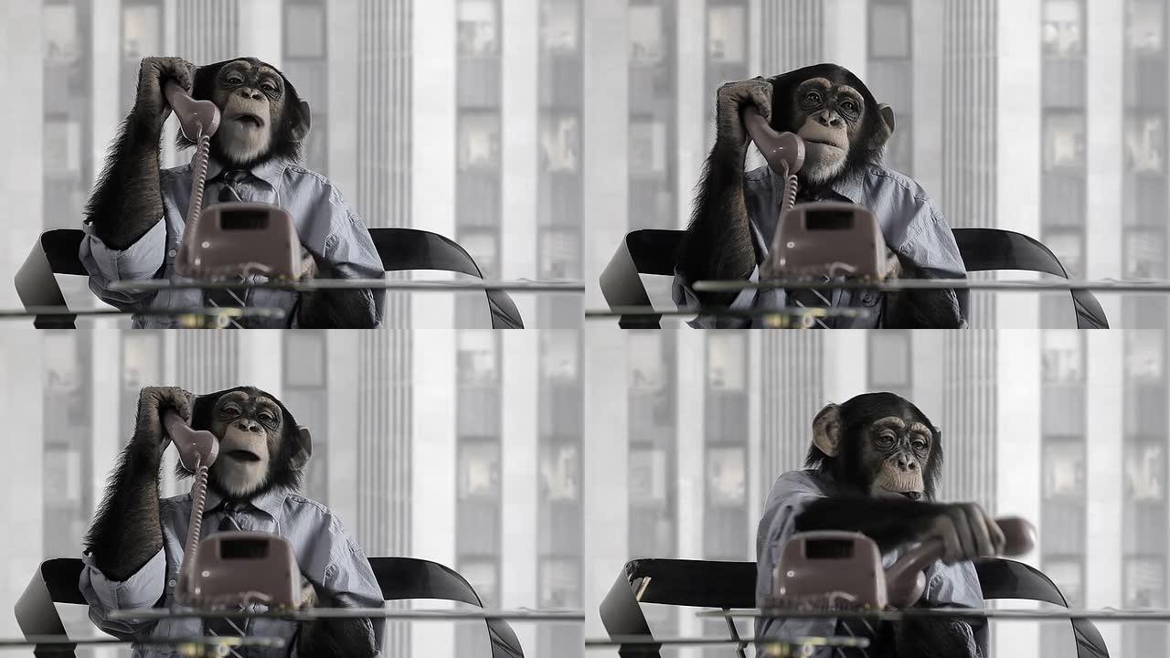 猴子商务办公室猴子商务办公室