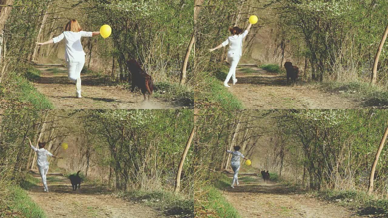 SLO MO女人带着气球和她的狗在森林里奔跑