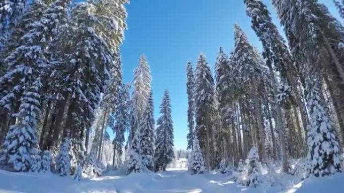 穿越白色森林的雪乡公路上的驾驶视点