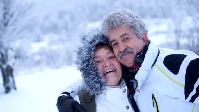 充满爱心的高级夫妇在冬季大自然中看着相机