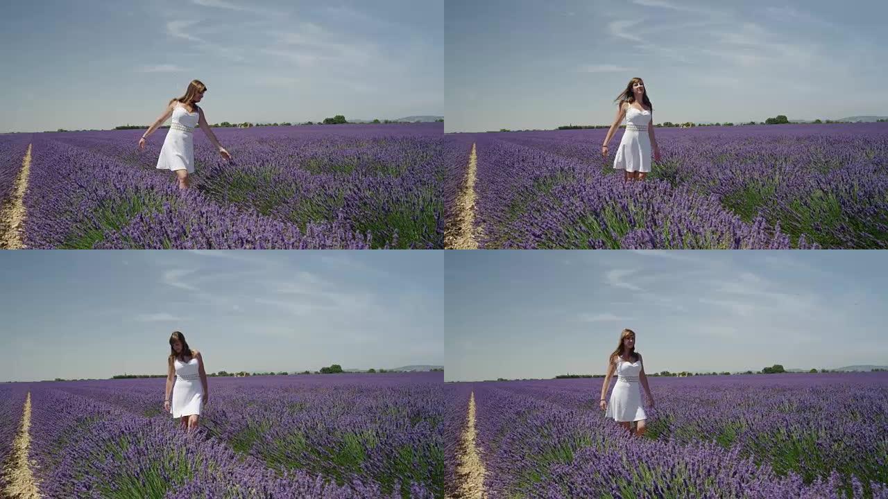 慢动作: 年轻女子走过法国普罗旺斯美丽的紫色薰衣草