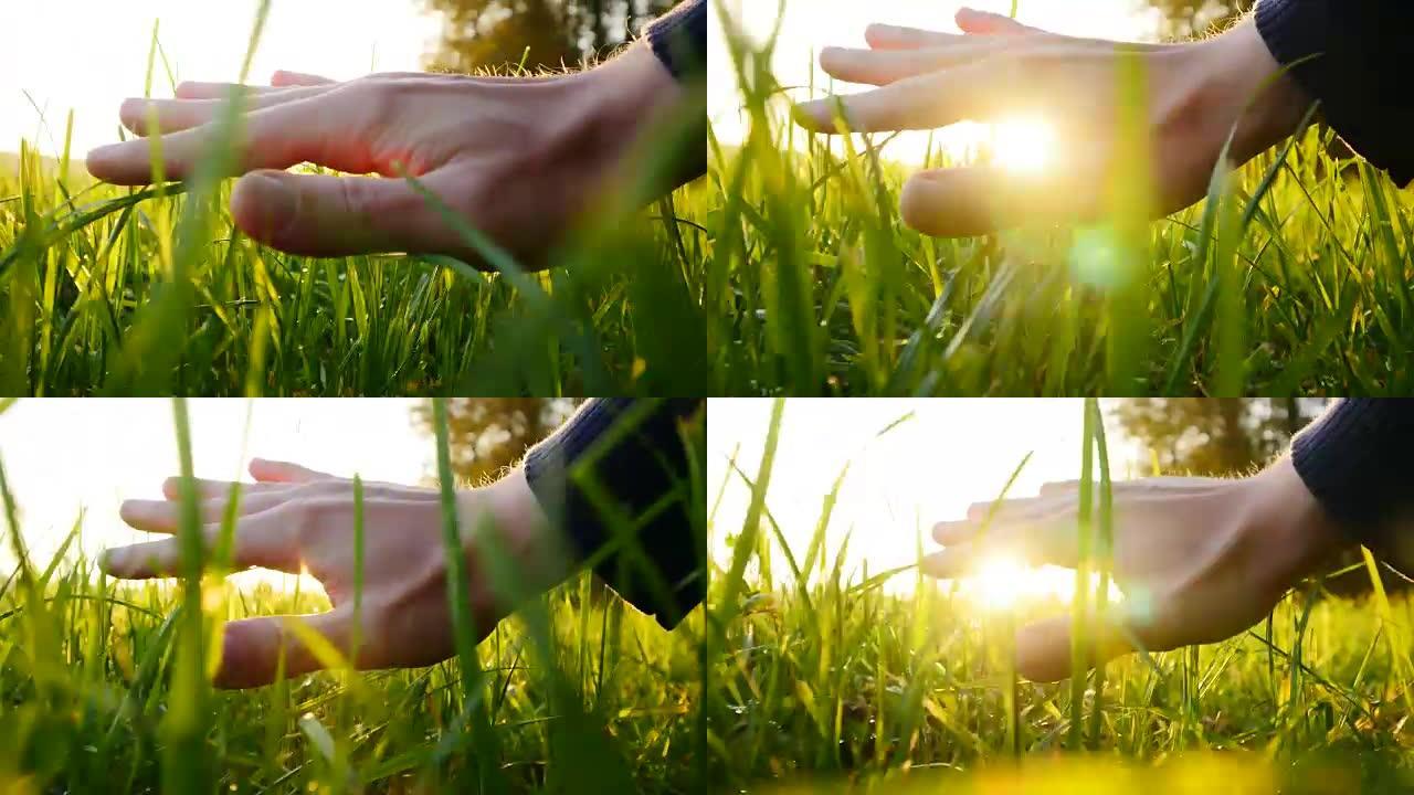 在大自然中有阳光的情况下把手放在草地上。积极情绪
