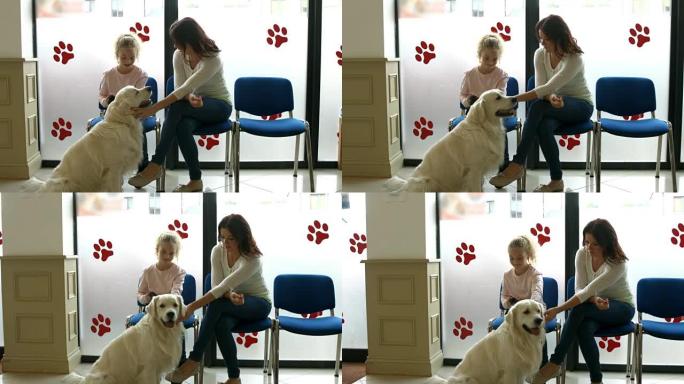 母女带着狗在兽医候诊室