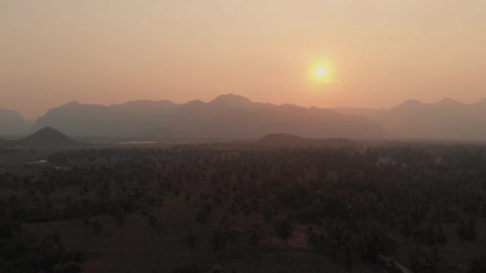 日落时椰子树的4k鸟瞰图。