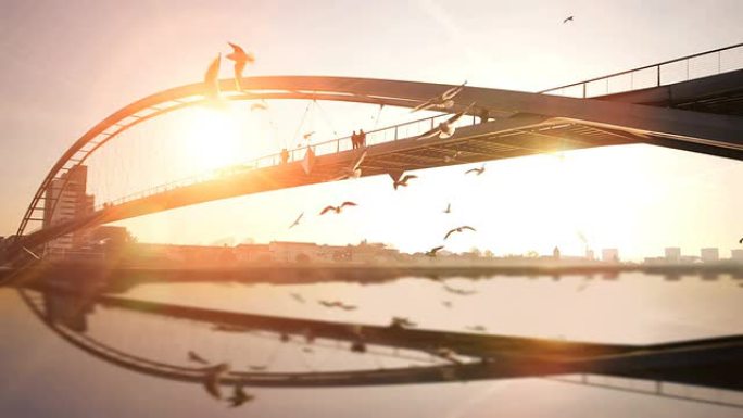 水反射。海鸥海鸟。现代桥梁。日落