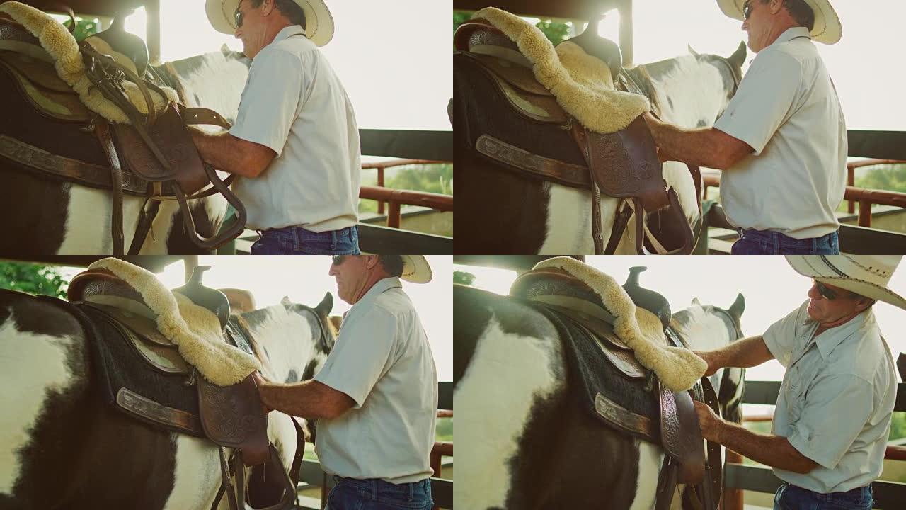 牛仔调整马背上的马鞍