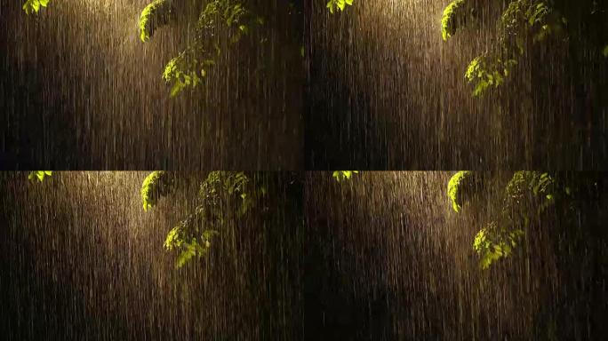 用高速相机拍摄大雨的4k镜头