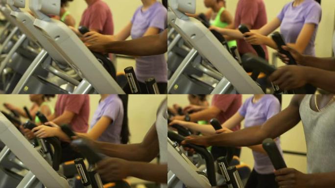 在椭圆虎上奔跑的多元化团队