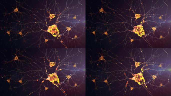 4k神经元活动。