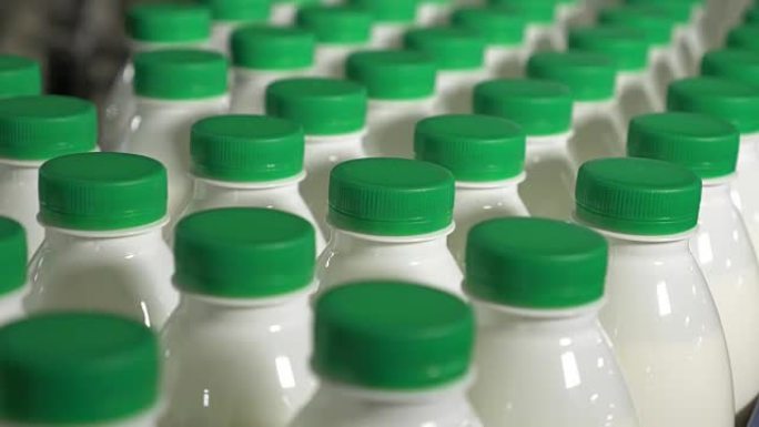 瓶子里的牛奶在传送带上移动。一家乳品厂的传送带上有绿色瓶盖的牛奶