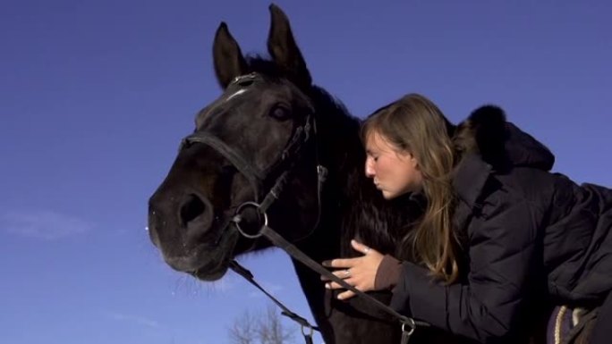 慢动作: 女孩抚摸她的马