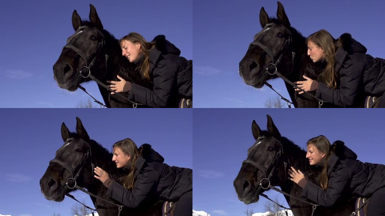 慢动作: 女孩抚摸她的马