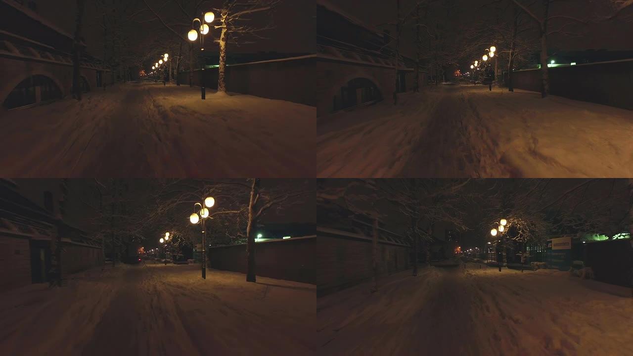 空中: 夜晚的雪树大道