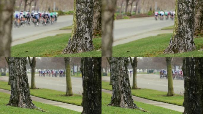 自行车竞速者经过树木
