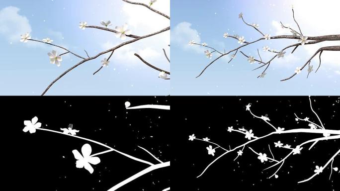 sprong树过渡的吹白花 (包括alpha)