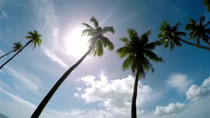 4K慢镜头特写:夏天的阳光透过棕榈树冠在阳光大道在一个美丽的夏日热带岛屿