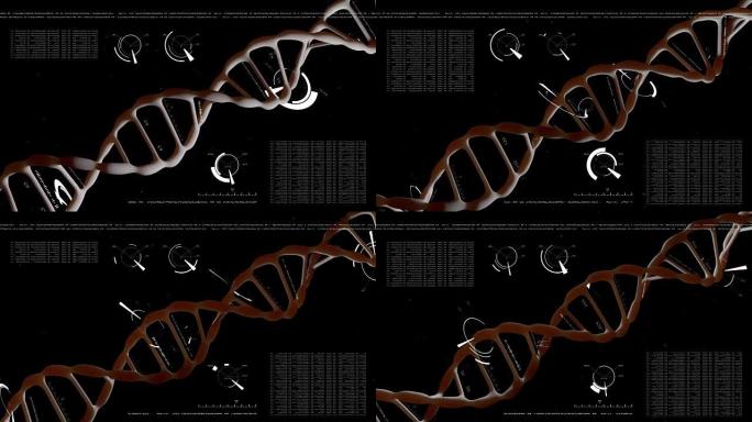 具有数据处理背景的逼真的旋转DNA。基因工程科学概念。飞行粒子。在黑色背景上。