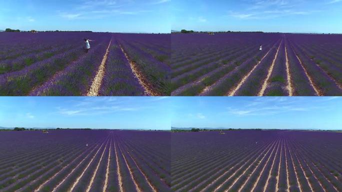 在阳光明媚的法国乡村，一个年轻女子站在一大片淡紫色的丁香地里