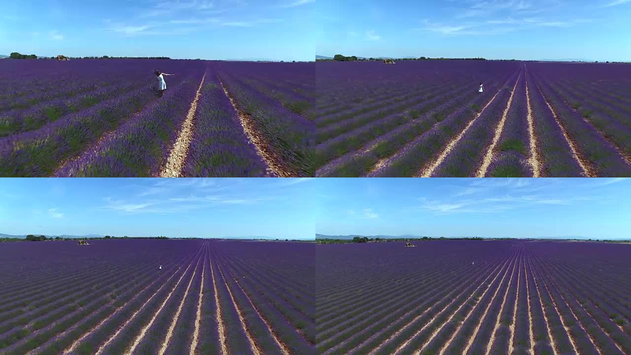 在阳光明媚的法国乡村，一个年轻女子站在一大片淡紫色的丁香地里
