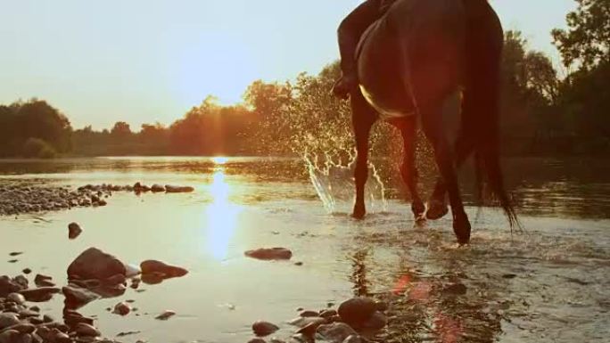 特写: 两名骑手在日落时沿着河骑着深棕色和帕洛米诺马