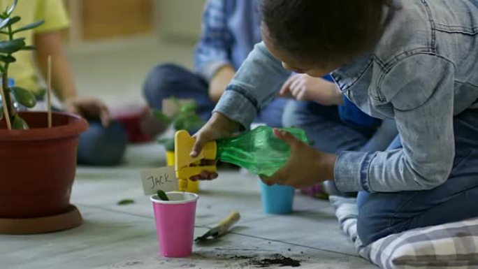 孩子们在幼儿园用水撒花植物