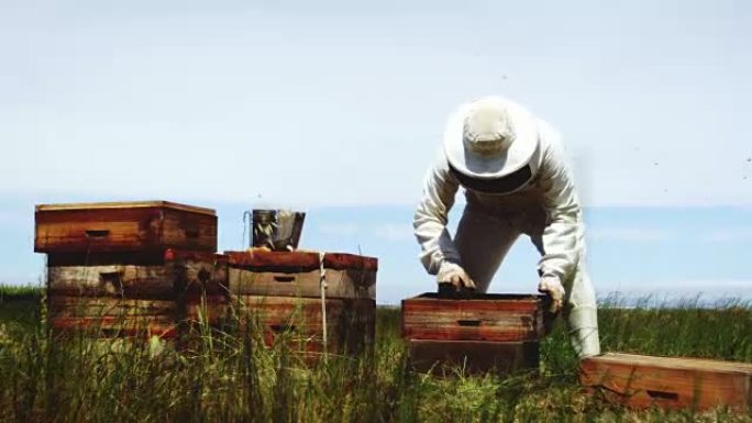 养蜂人在养蜂场工作
