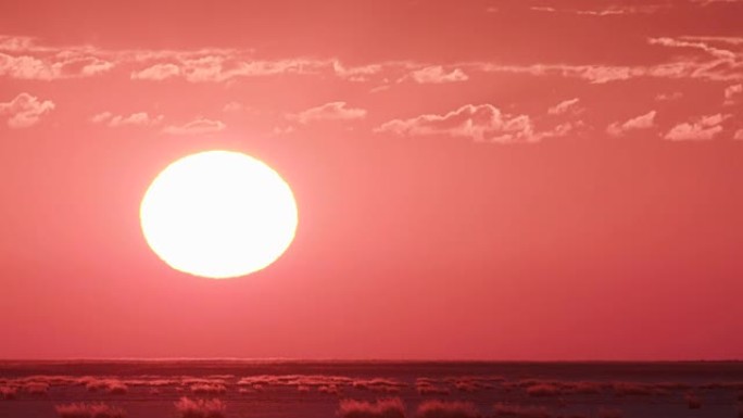 博茨瓦纳Makgadikgadi草原上美丽的红色天空升起的太阳延时