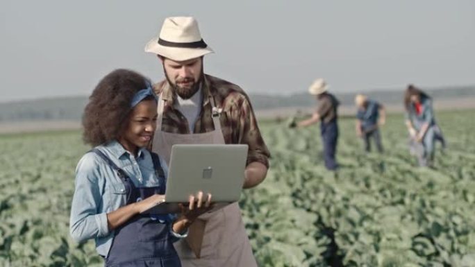 在野外使用笔记本电脑的年轻男女农民