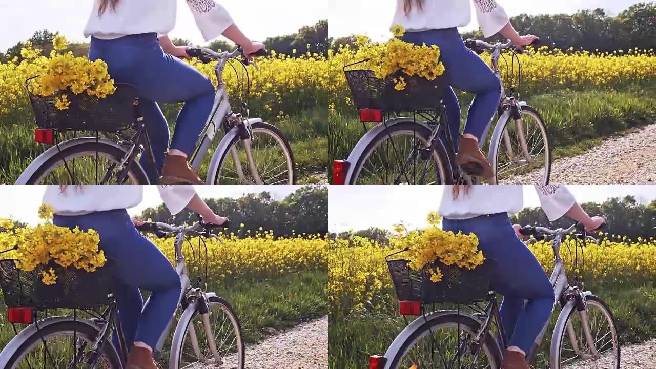 SLO MO无法识别的女人在五颜六色的油菜籽地里骑自行车