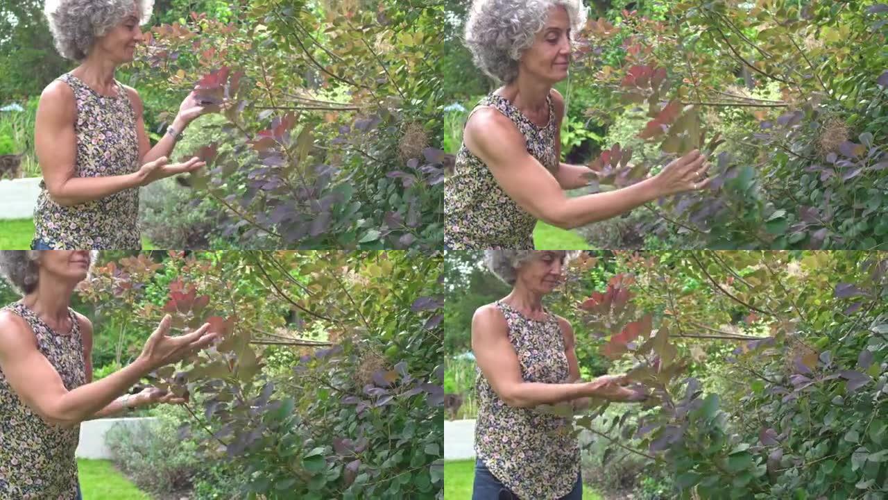 成熟的女人在后院花园里检查她的植物