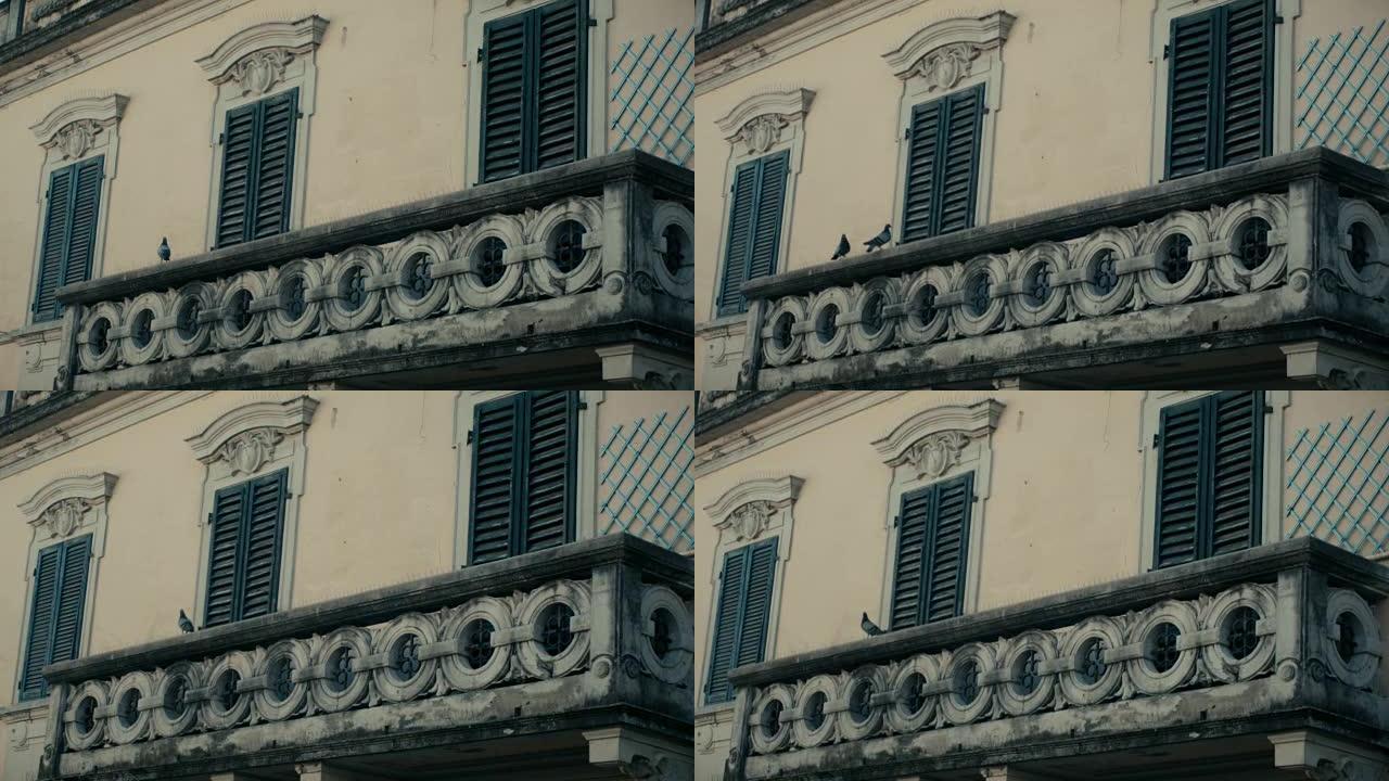 意大利房屋周围有飞鸽
